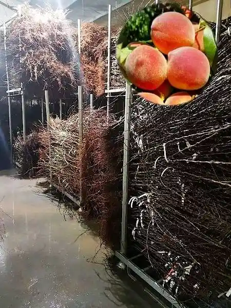 Набори